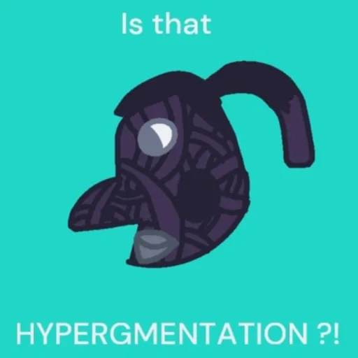 creator Ningy Bassilian's avatar