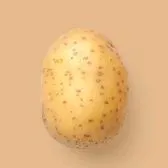 creator POTATO POTATO!'s avatar