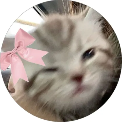 creator la cokie's avatar