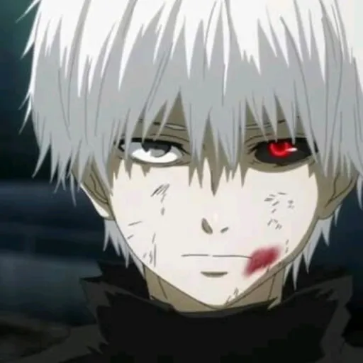 creator amir122224's avatar
