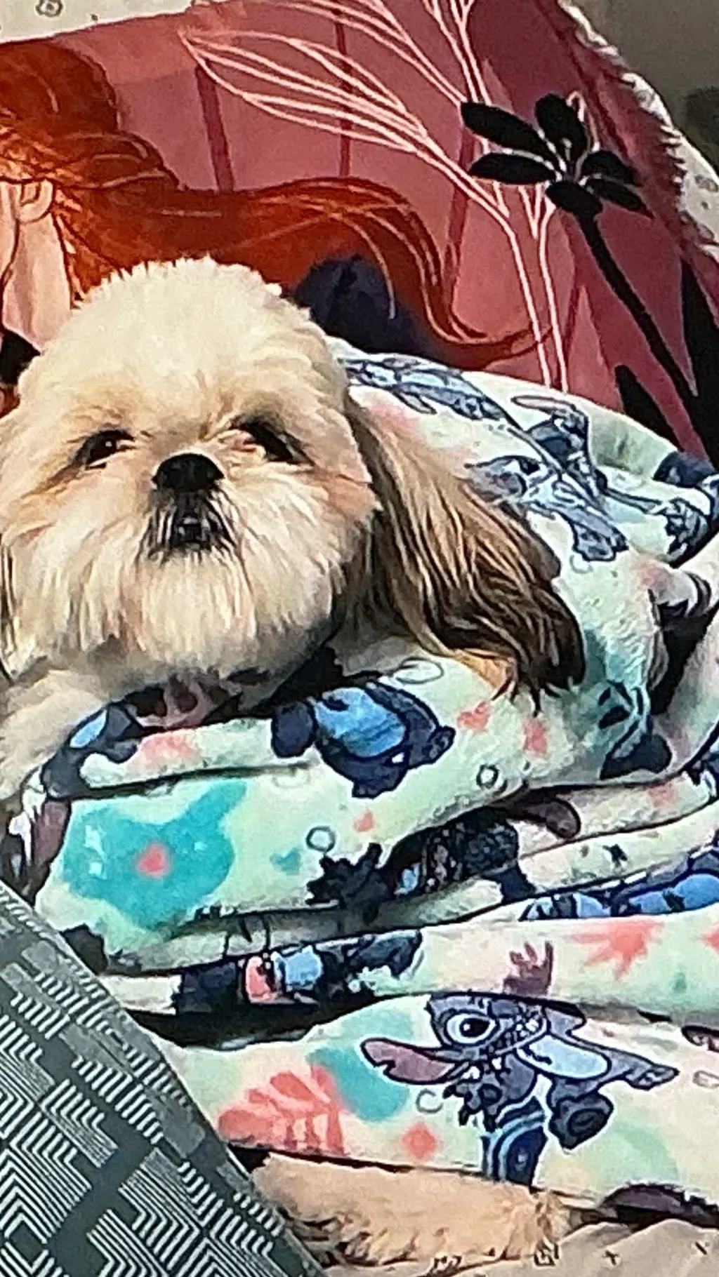 ai character: My dog Luca background