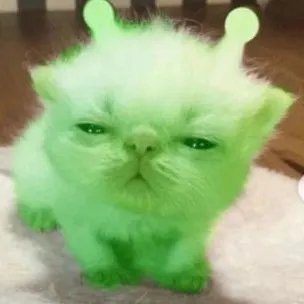 creator I'm evil alien cat's avatar