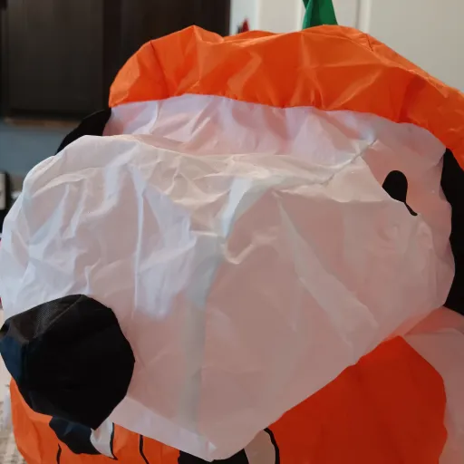 creator squished snoopy's avatar