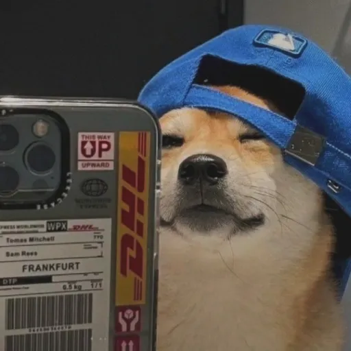 creator Mattlofy's avatar
