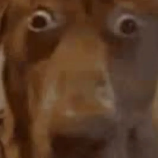 creator _-needs therapy-_'s avatar