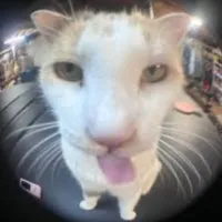 creator Muchiro_is_mylove's avatar