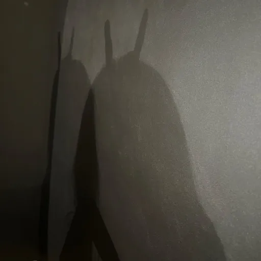 creator ⟬ 𝐎𝐥𝐢𝐯𝐢𝐚 ⟭'s avatar