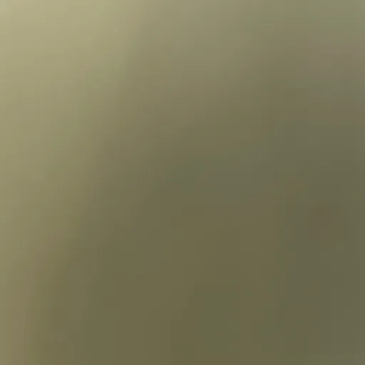 creator Talked-12's avatar