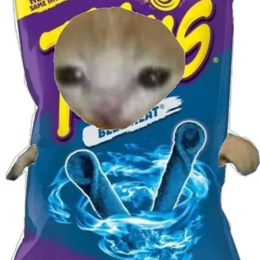 creator takis con gato😺's avatar