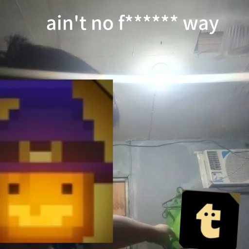 creator melondeplayground's avatar