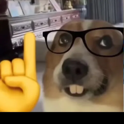 creator Regishere's avatar