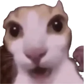 creator Minty_onyt's avatar