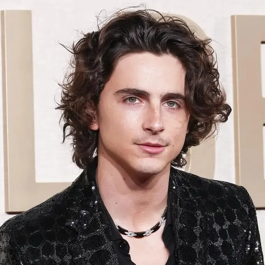 chat with ai character: Timothee Chalamet
