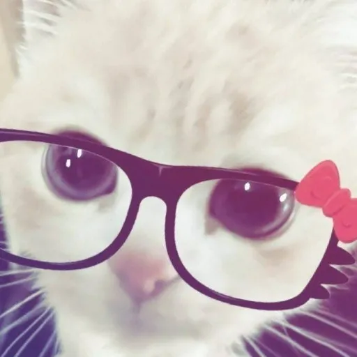 creator odhekebdkddkdndkdj's avatar