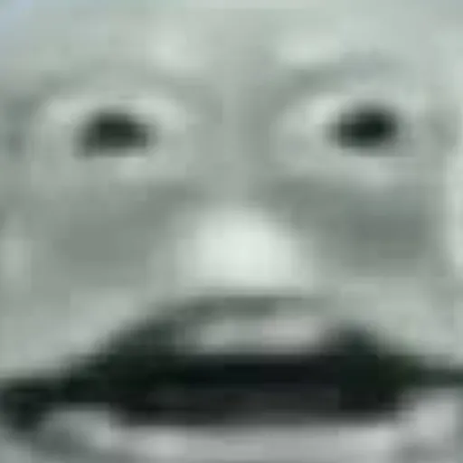 creator parrytheplatypusXD's avatar