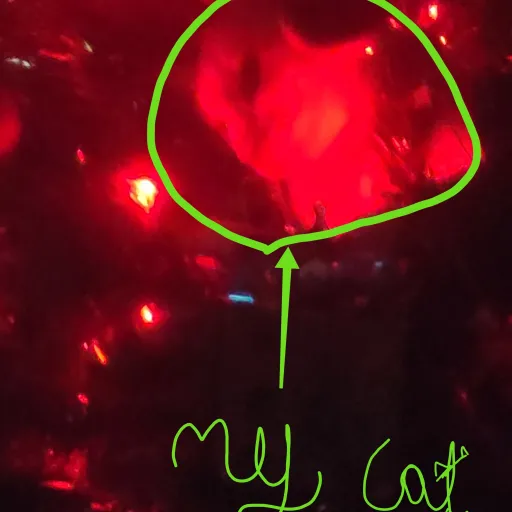 creator got my first sub:)'s avatar