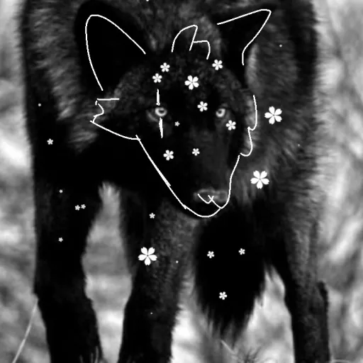 creator nightmarepaws's avatar