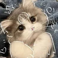 creator Arlie Jay ♡'s avatar