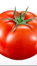 ai character: MR TOMATO background