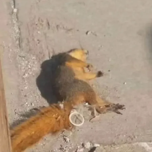 creator unknown 69's avatar