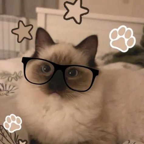 creator AutumnRaimey😘's avatar