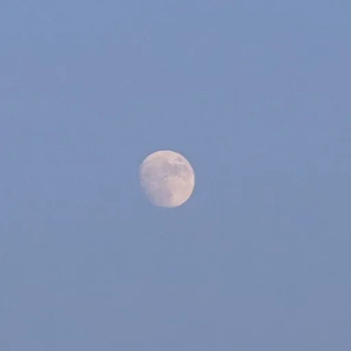 creator @moon_light_star's avatar