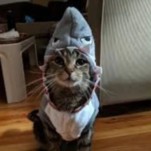 creator blue (the shark)'s avatar