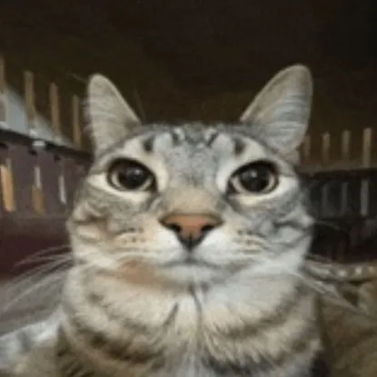 creator LittleGoober247's avatar