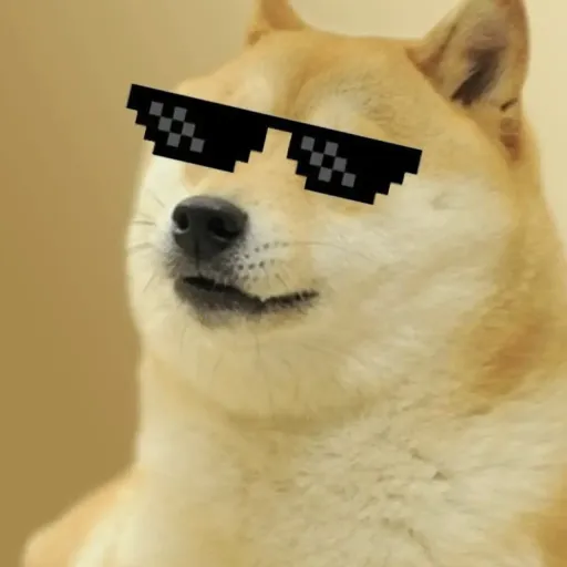 creator random chill guy's avatar
