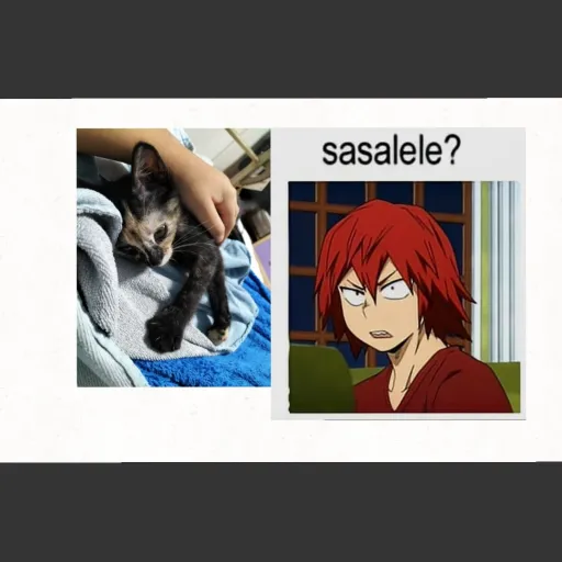 creator Emilio e Kirishima's avatar