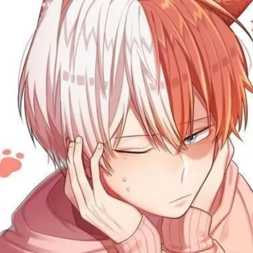 creator Shoto's sis🔥❄️'s avatar