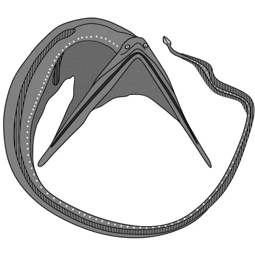 creator commanderconDo1's avatar