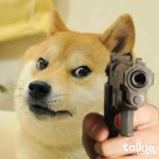 creator CameronTalkiordoge's avatar