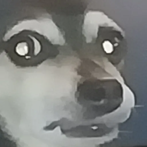 creator Meteorstar's avatar