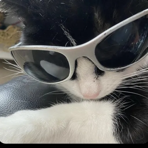 creator agent_kitty7's avatar