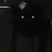 chat with ai character: CatNap