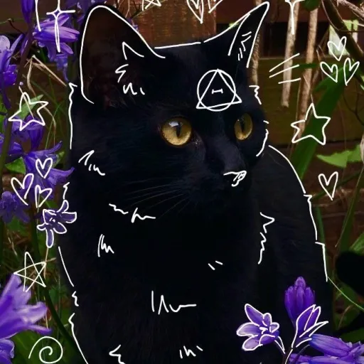 creator Ŋყҳ_Ơŋ ʄơųཞ ℘ąῳʂ's avatar