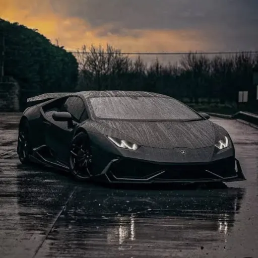 creator Maxdeca's avatar