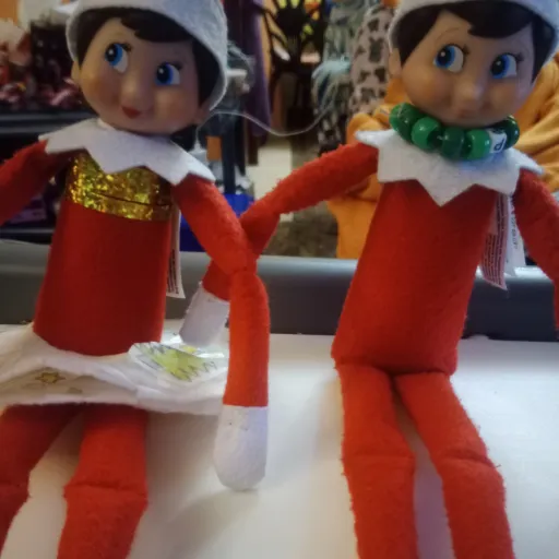 creator loca de los elfos👀's avatar