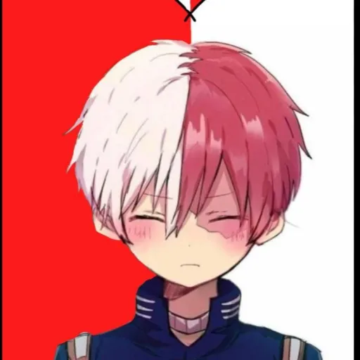 creator Shoto Todoroki❤️🤍's avatar