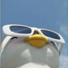 creator Maddy_the_duckling's avatar