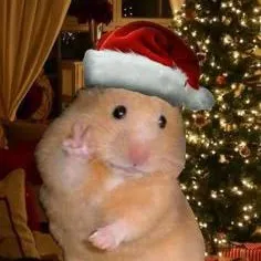 creator Pumpkin!!'s avatar