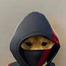 creator Axo Random's avatar