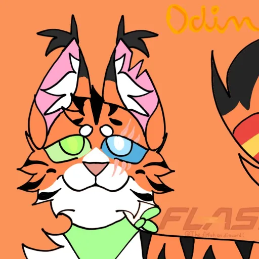 creator Odin 🐯's avatar
