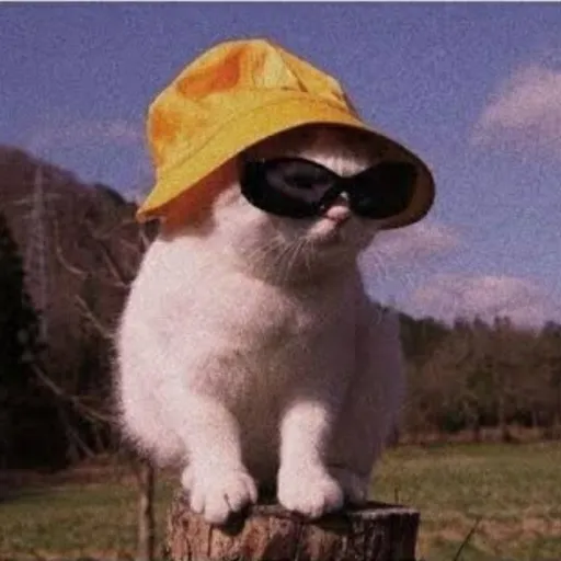 creator Cat_Lover :D's avatar