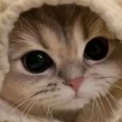 creator ItstheBigbadthanos's avatar