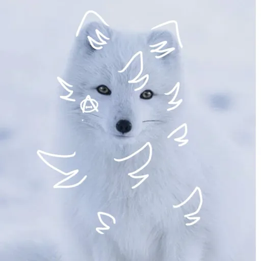 creator Snowyyfox's avatar