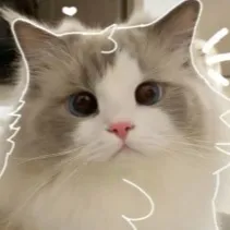 creator Bibi 0w0's avatar