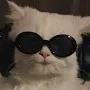 chat with ai character: My YT subscribe!