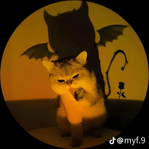creator Luzix's avatar